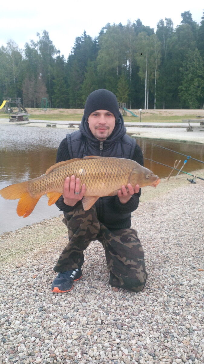 ���� 11952180 ������� Stas, 36 ���, ���� ���������� � ����