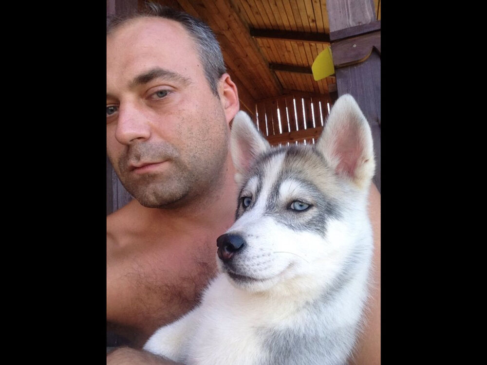  ,   Dimon, 44 ,   ,   , c 