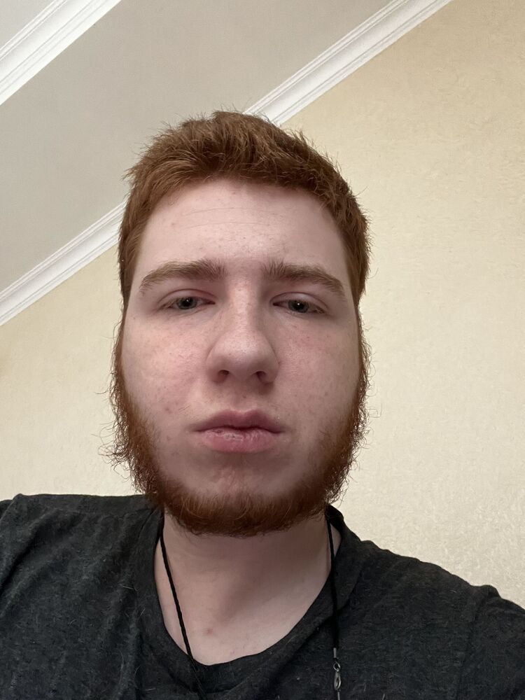  28558440  , 25 ,    