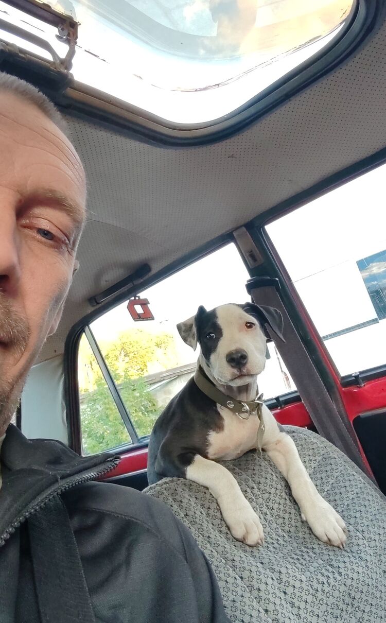 ���� 53848850 ������� Evgenij, 43 ����, ���� ���������� � ������