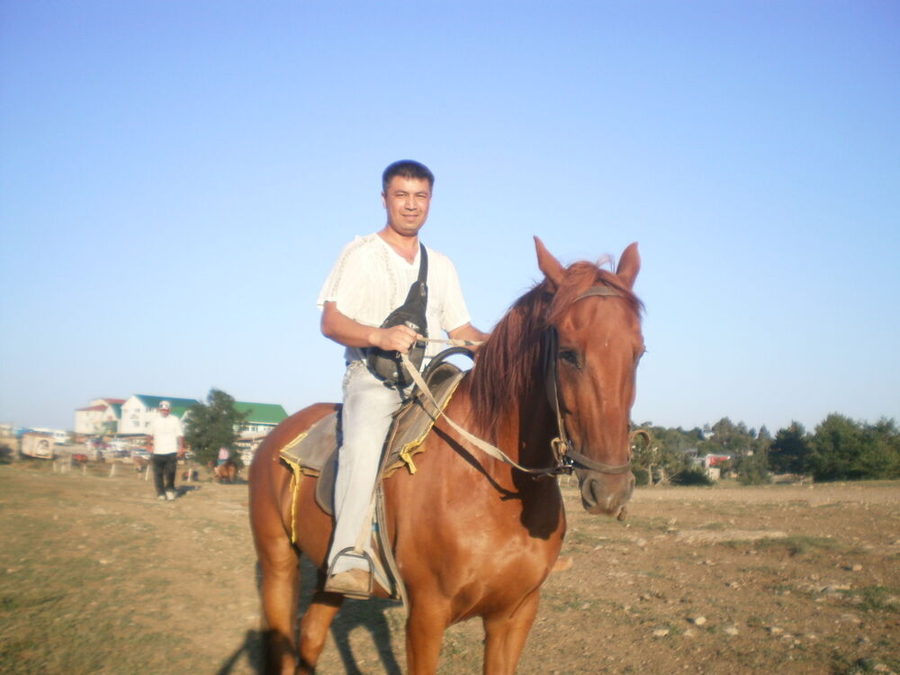  5803610  Polvon, 52 ,    