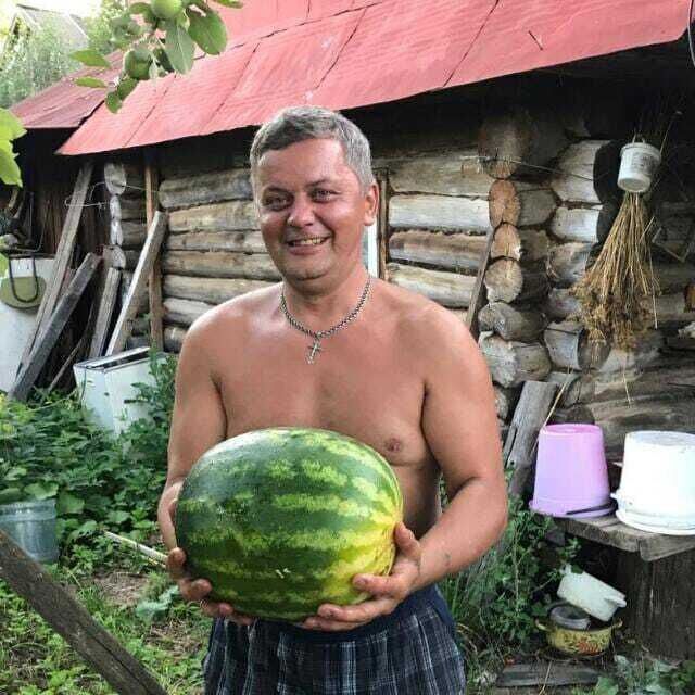  39436860  , 48 ,    