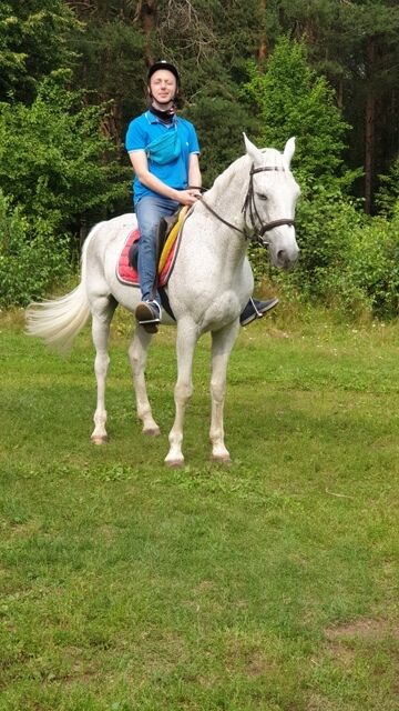 ���� 44153430 ������� Alexander, 36 ���, ���� ���������� � ���������