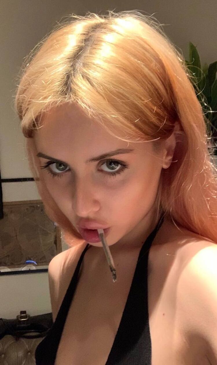 ���� 25113050 ������� ����, 23 ����, ���� ���������� � ������