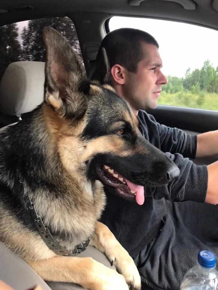 ���������� �����-���������, ���� ������� ����, 31 ���, ������������ ��� ������, ����� � ���������