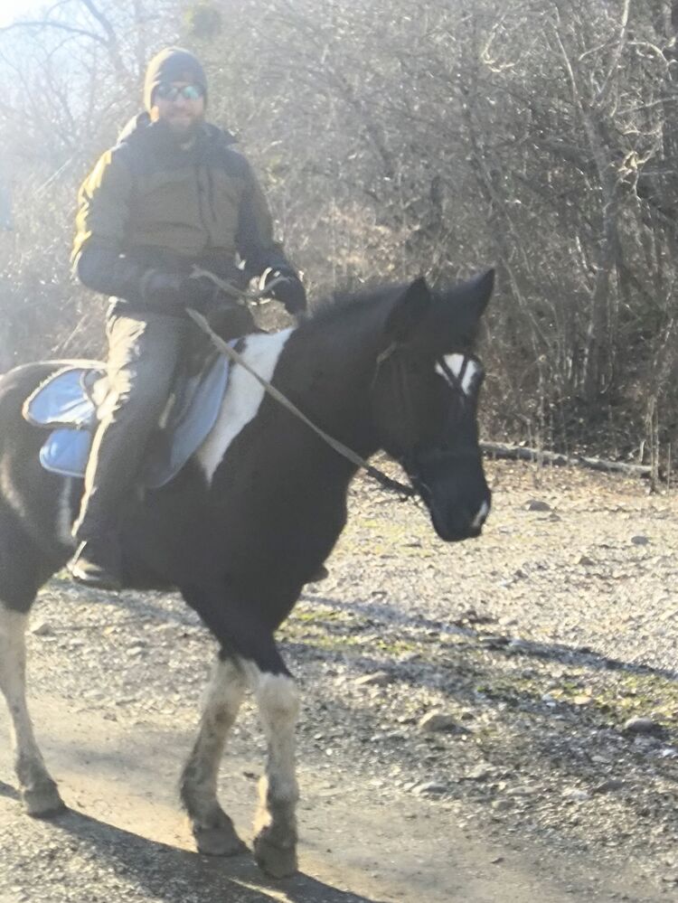 ���� 55643450 ������� �������, 39 ���, ���� ���������� � ����