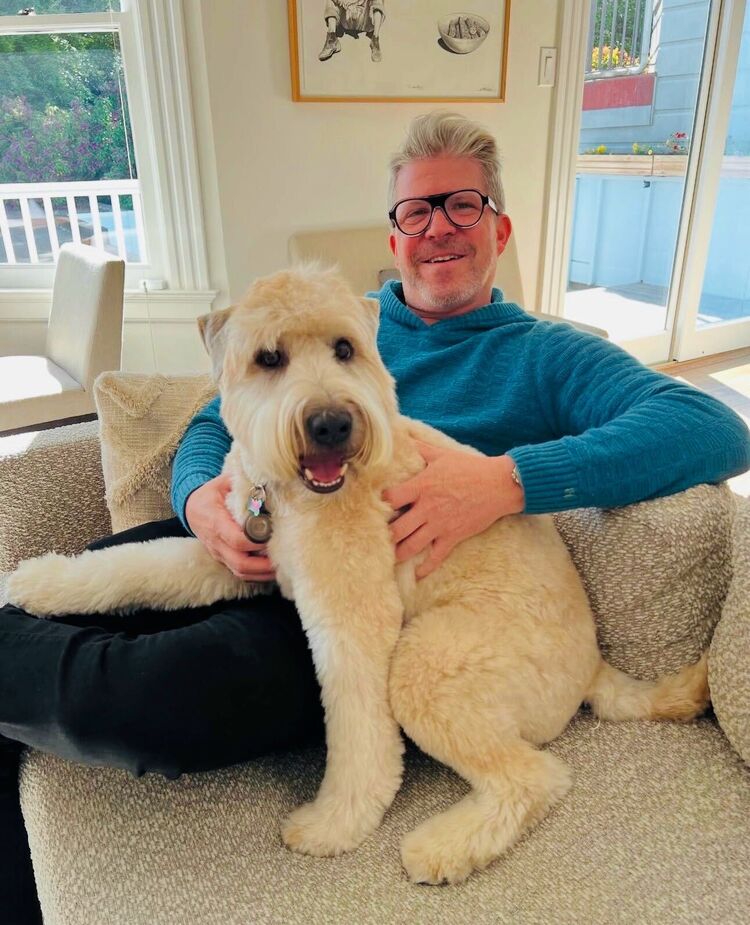 ���������� ������, ���� ������� ��������, 52 ����, ������������ ��� ����� � ���������, c�������� ���������