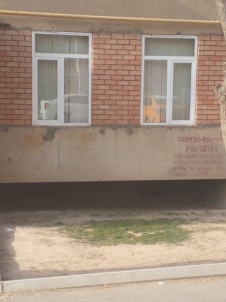 ���� 24629330 ������� �����, 33 ����, ���� ���������� � ��������