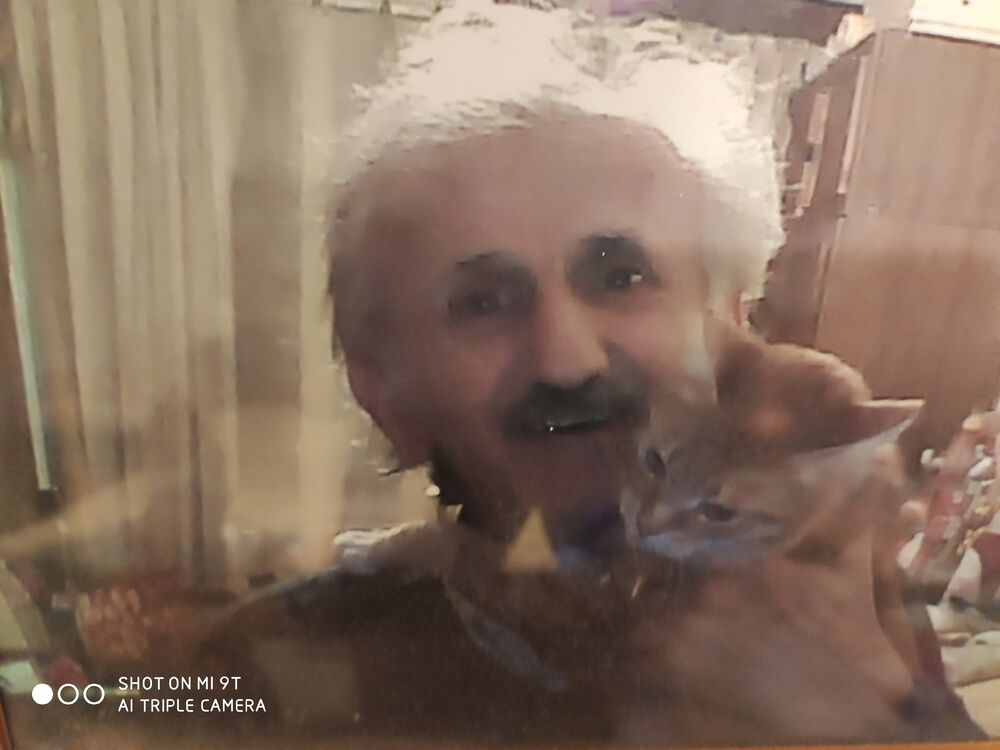  36514390  , 74 ,    -