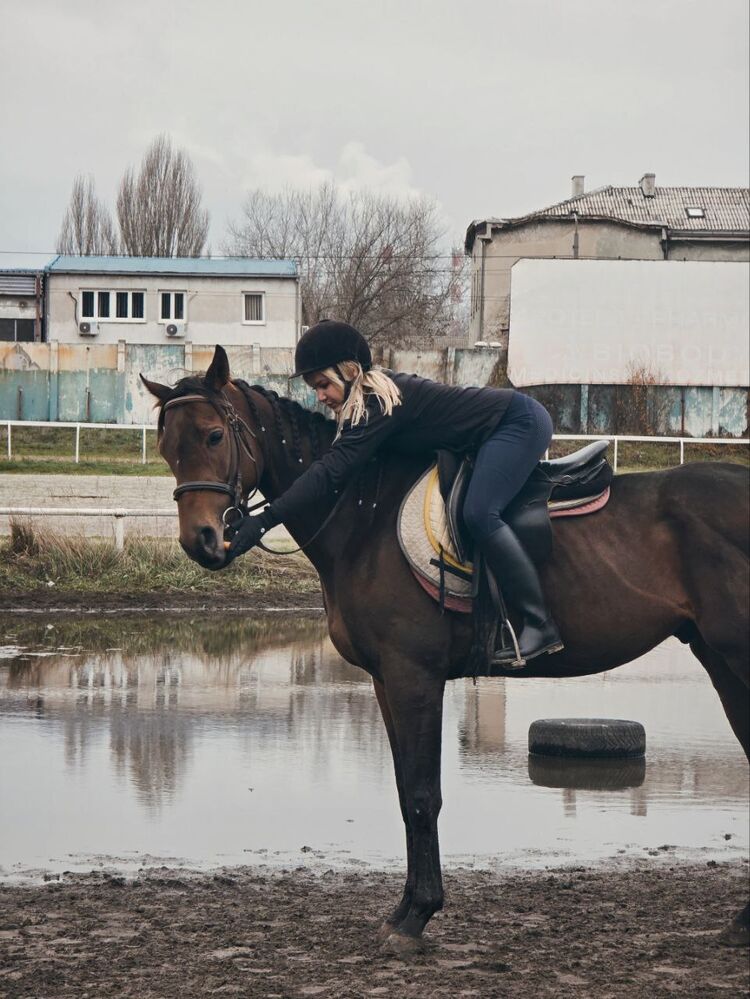 ���������� �������, ���� ������� Pokica, 28 ���, ������������ ��� ������, ����� � ���������