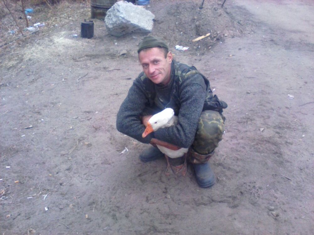 ���������� �������, ���� ������� ���������, 48 ���, ������������ ��� ����� � ���������, c�������� ���������