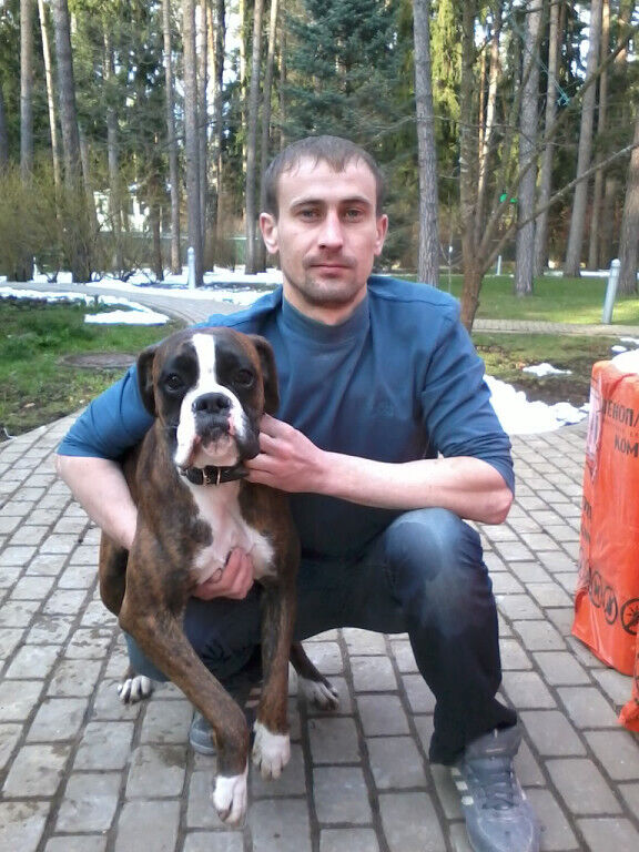 ���� 28947120 ������� ������, 37 ���, ���� ���������� � ������