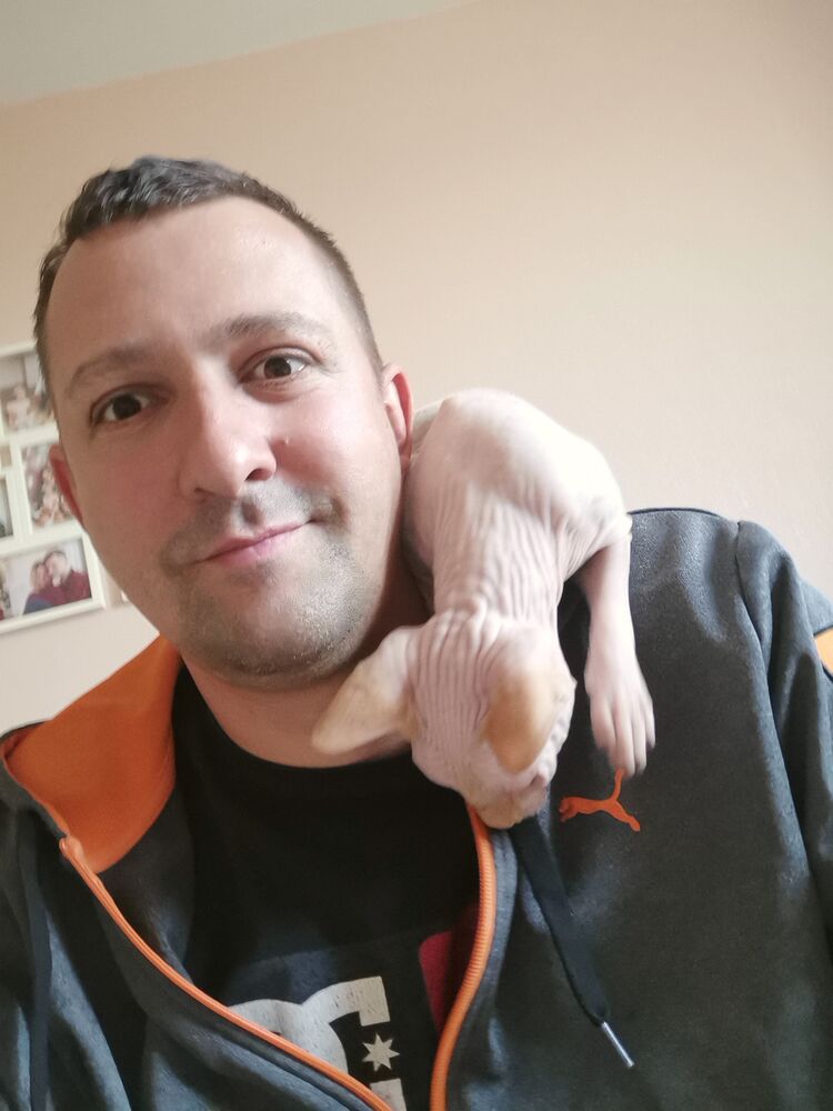 ���� 27983960 ������� �������, 36 ���, ���� ���������� � �����-����������