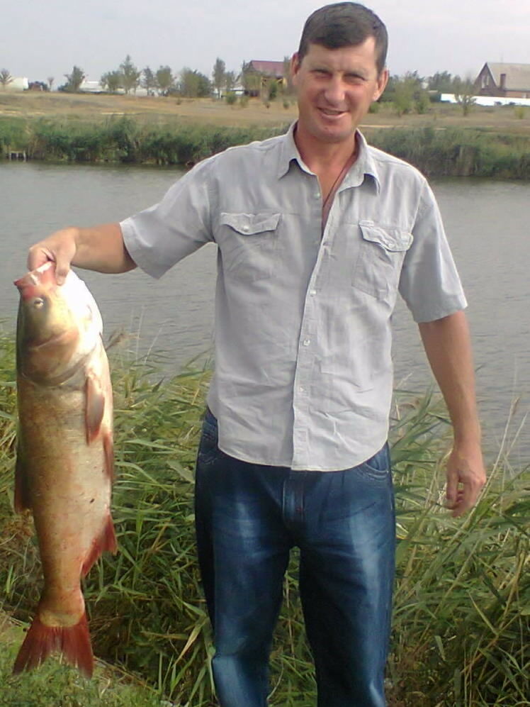  --,   , 53 ,   ,   