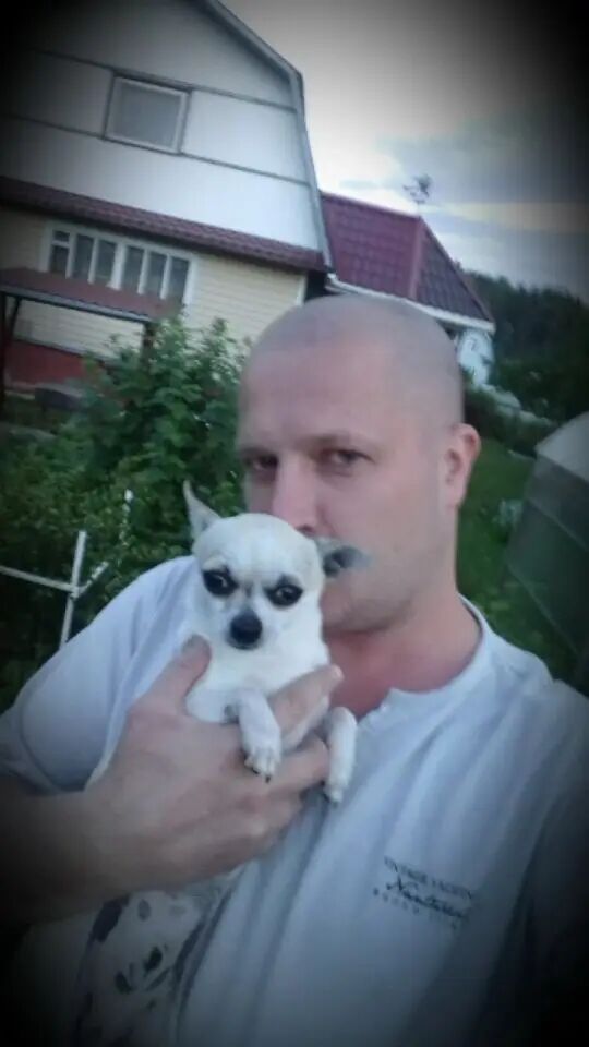 ���� 35508460 ������� �����, 40 ���, ���� ���������� � ������