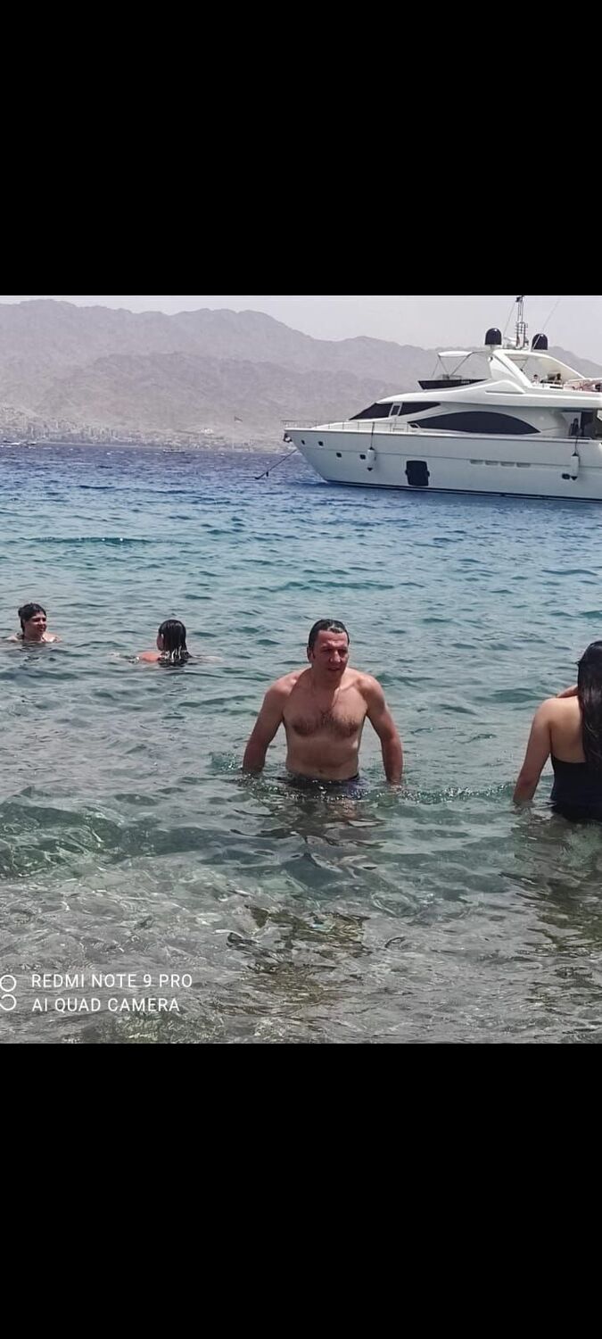  43800290  , 44 ,    -