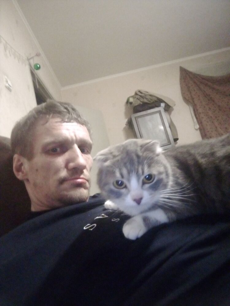  -,   , 36 ,   ,   