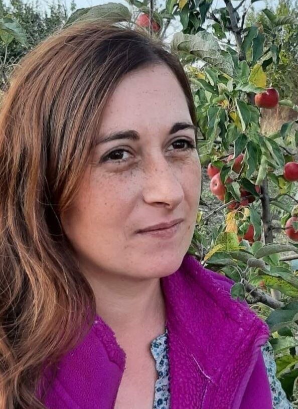 ���� 51100530 ������� Aliona, 37 ���, ���� ���������� � ������