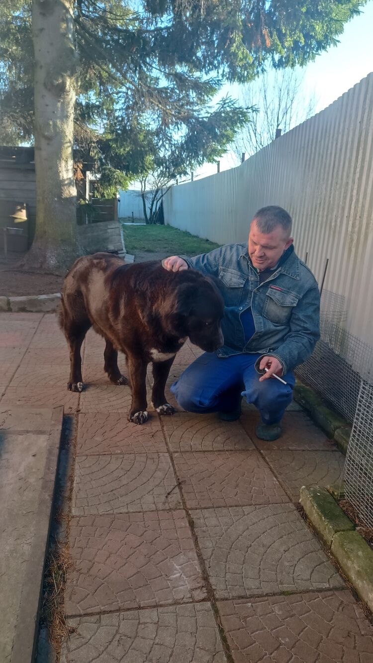 ���������� �����-���������, ���� ������� ������, 49 ���, ������������ ��� ������, ����� � ���������