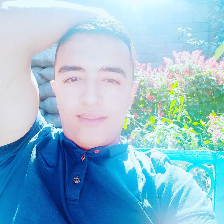  13577790  , 24 ,    