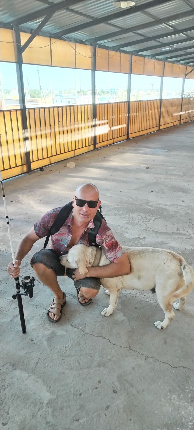 ���� 34611220 ������� ϸ��, 39 ���, ���� ���������� � �����������