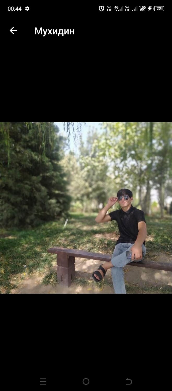 ���� 33386850 ����� ������, 22 ����, ���� ���������� � ���������