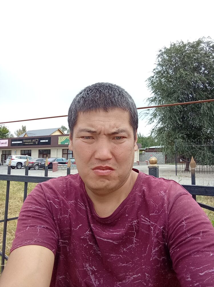  28681270  , 40 ,    
