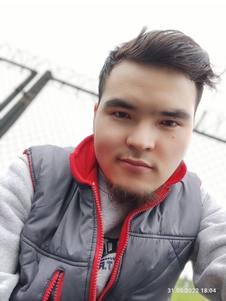  31768480  , 28 ,    -
