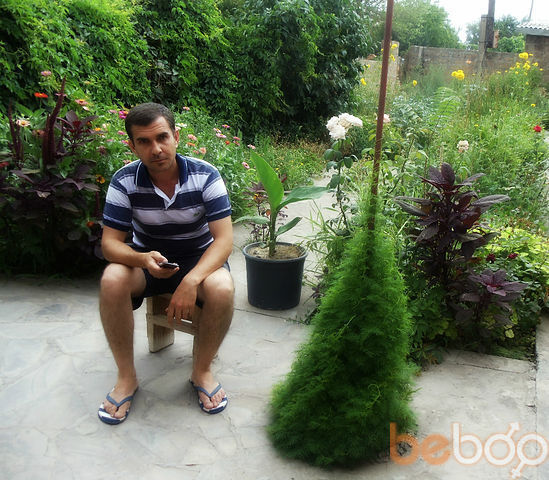  ,   Suren, 50 ,   ,   , c 