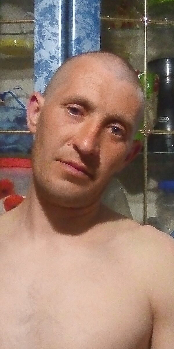 ���� 19768910 ������� ������, 44 ����, ���� ���������� � ������������