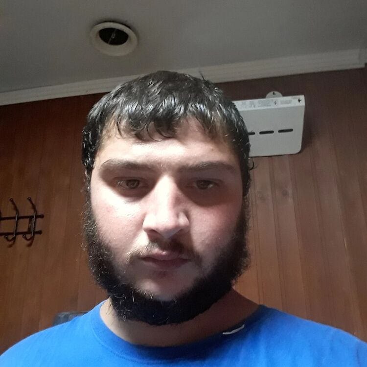  43416700  , 31 ,    
