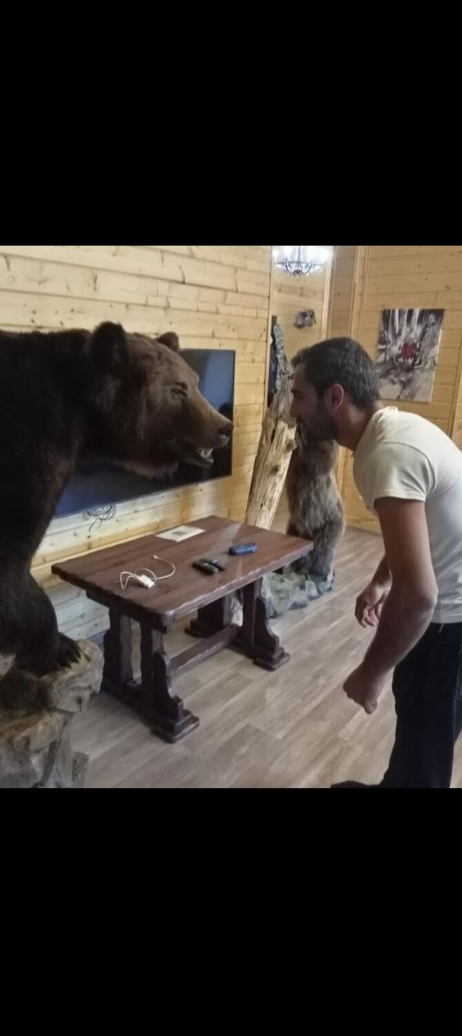 ���� 43031860 ������� ���, 31 ���, ���� ���������� � ������