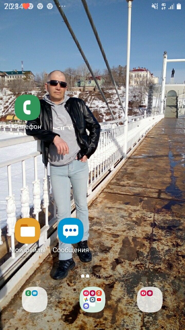  31138820  , 43 ,    