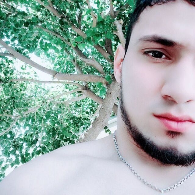 ���� 24117360 ������� �����, 42 ����, ���� ���������� � �����-����������