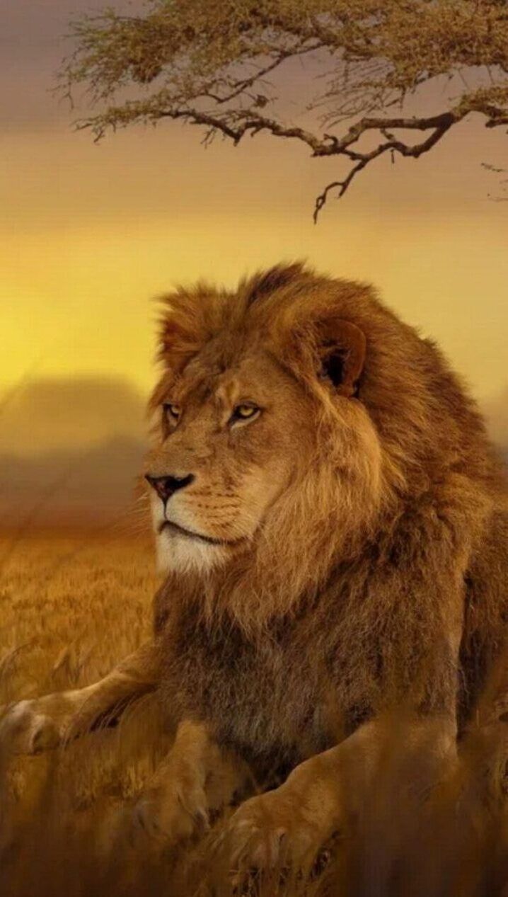 ���� 44151780 ������� ���, 28 ���, ���� ���������� � �����-����������