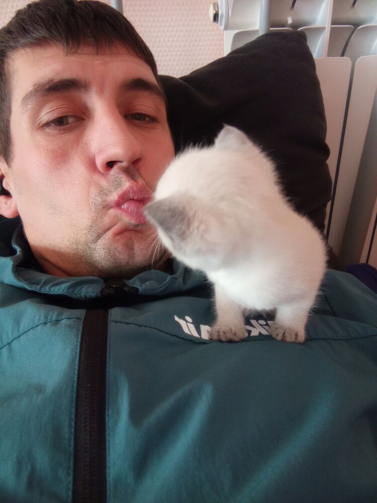 ���� 40198230 ������� ������, 34 ����, ���� ���������� � �����