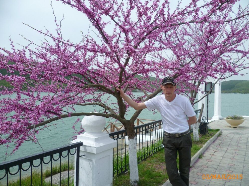 ���� 47072580 ������� ������, 49 ���, ���� ���������� � ���������