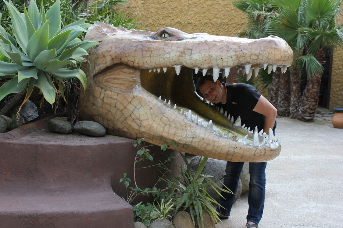 ���� 10386530 ������� Maris, 46 ���, ���� ���������� � ��������