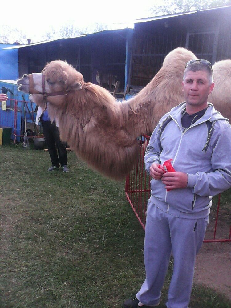 ���� 20388610 ������� ������, 49 ���, ���� ���������� � ���������