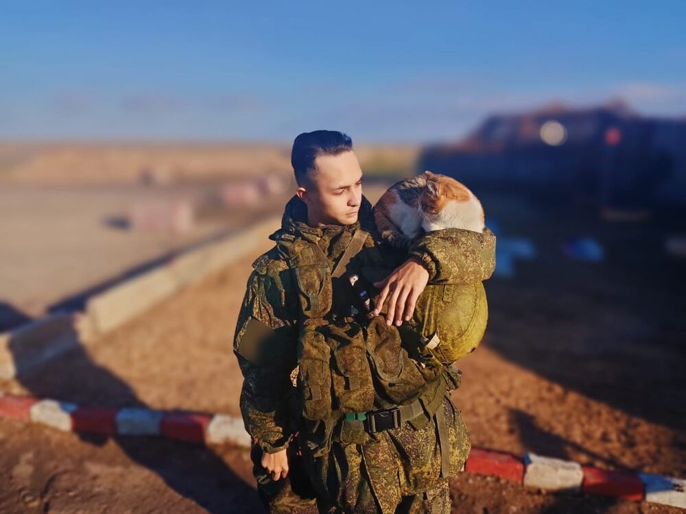 ���������� �����������, ���� ����� ������, 24 ����, ������������ ��� ������, ����� � ���������, c�������� ���������