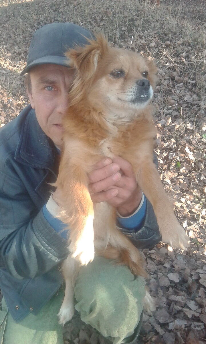  ,   , 55 ,   