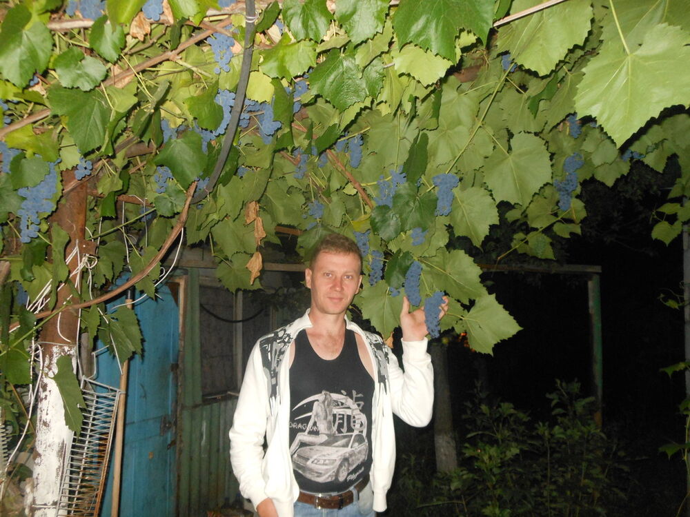  6191360  , 47 ,    -