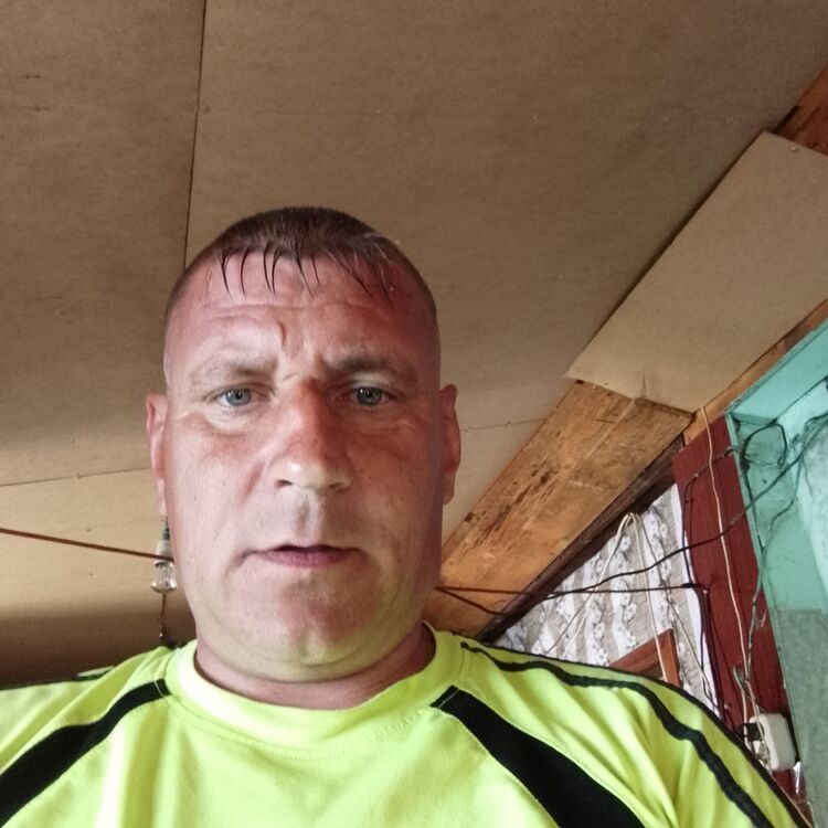 ���� 38598800 ������� �������, 47 ���, ���� ���������� � ��������