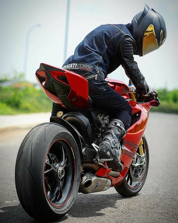 ���� 31946260 ������� ����, 36 ���, ���� ���������� � ������