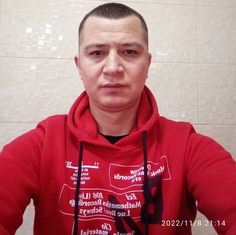  31284670  , 40 ,    