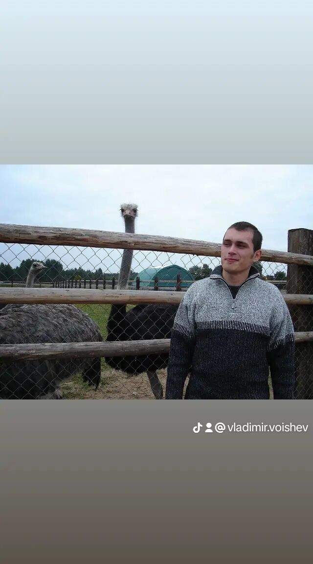 42008770  , 37 ,    