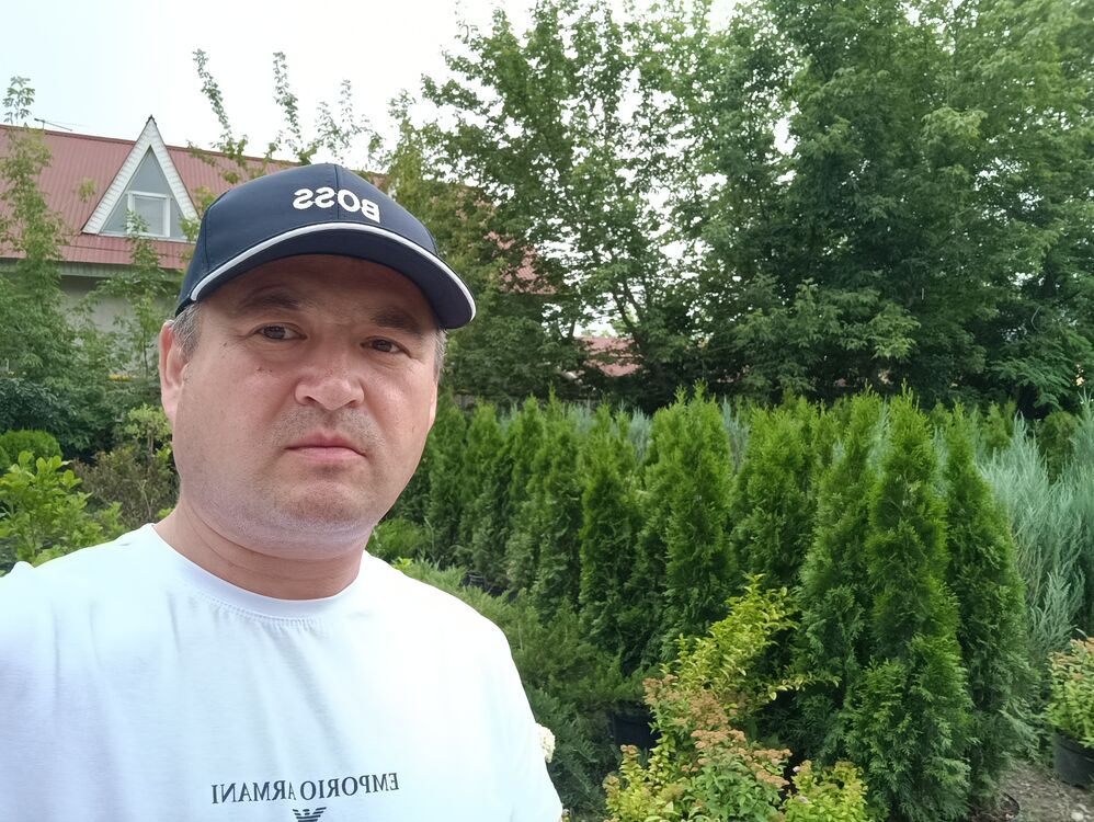  ,   , 43 ,   ,   