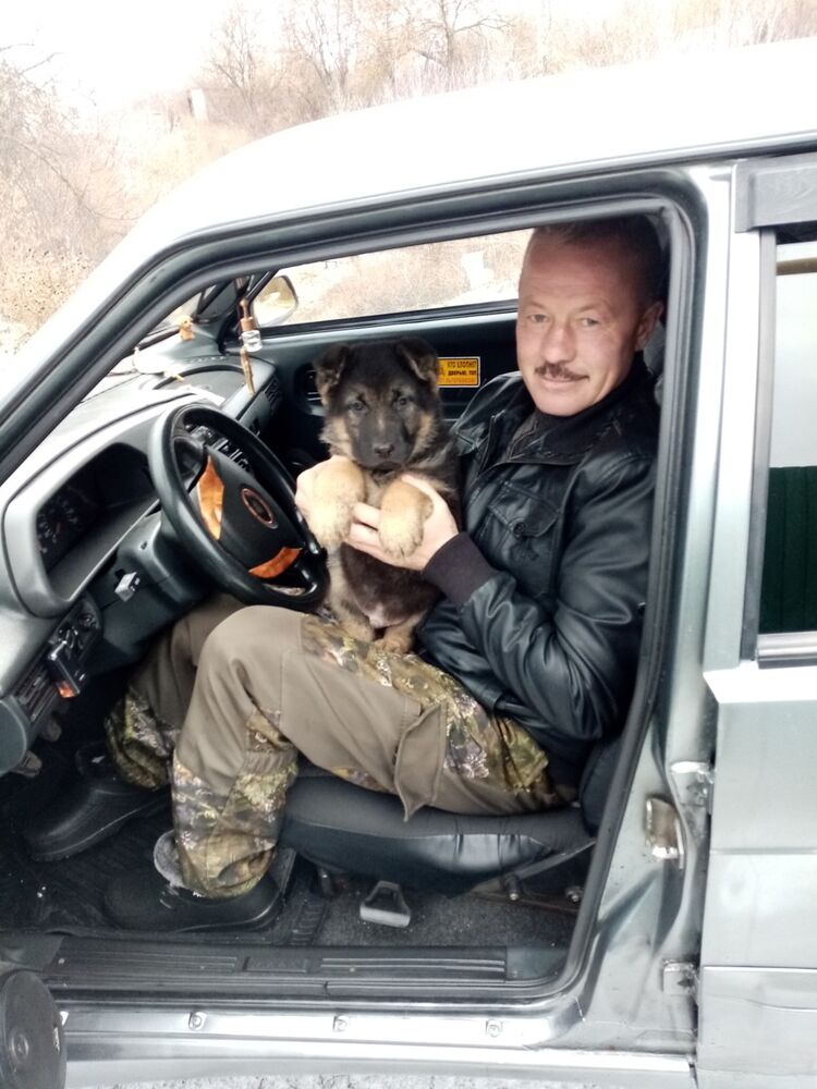 ���� 18339600 ������� ��������, 53 ����, ���� ���������� � ����������