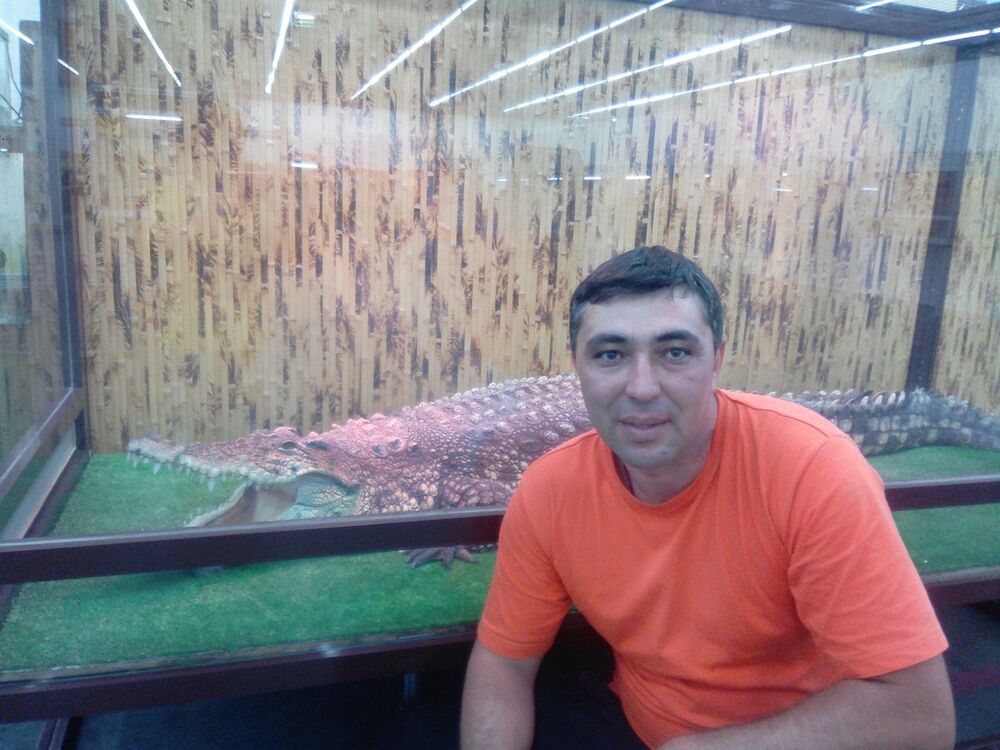  ,   , 44 ,   