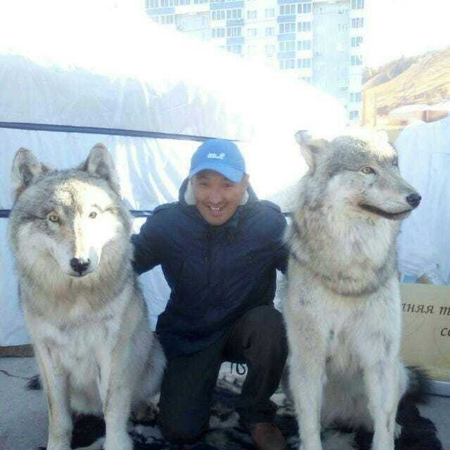  ,   , 46 ,   